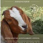 Koasa Hof 4*