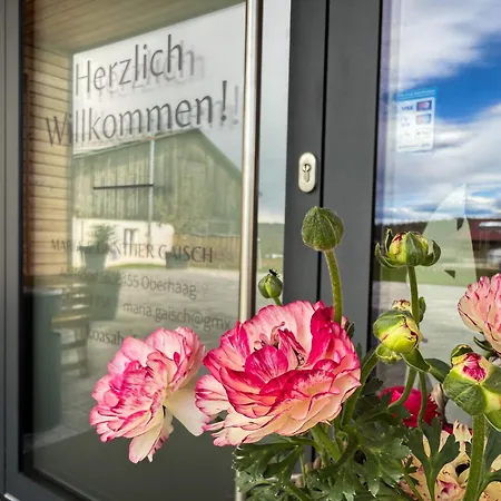 Koasa Hof Couette-café 3*