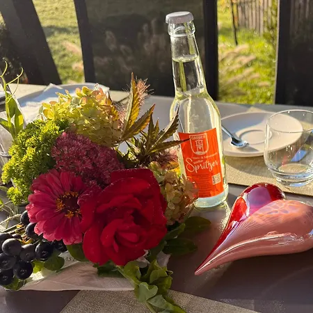 Koasa Hof 4* Oberhaag