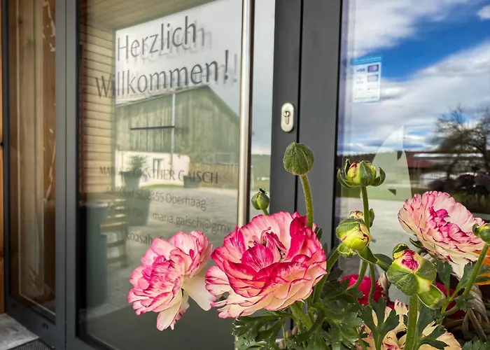 Koasa Hof Bed & Breakfast 3*